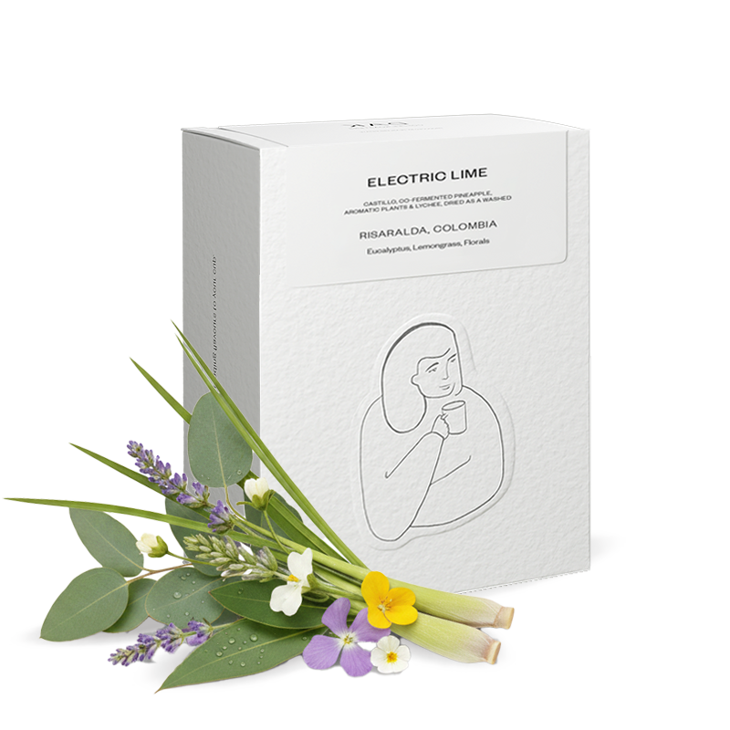 DAK Electric Lime - Colombia (Filter)