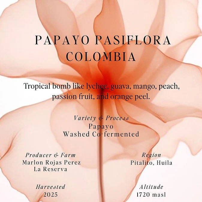 Papayo Pasiflora - Colombia (Omni)