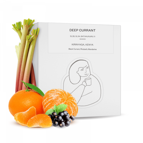 ‫قهوة داك DEEP CURRANT كينيا‬